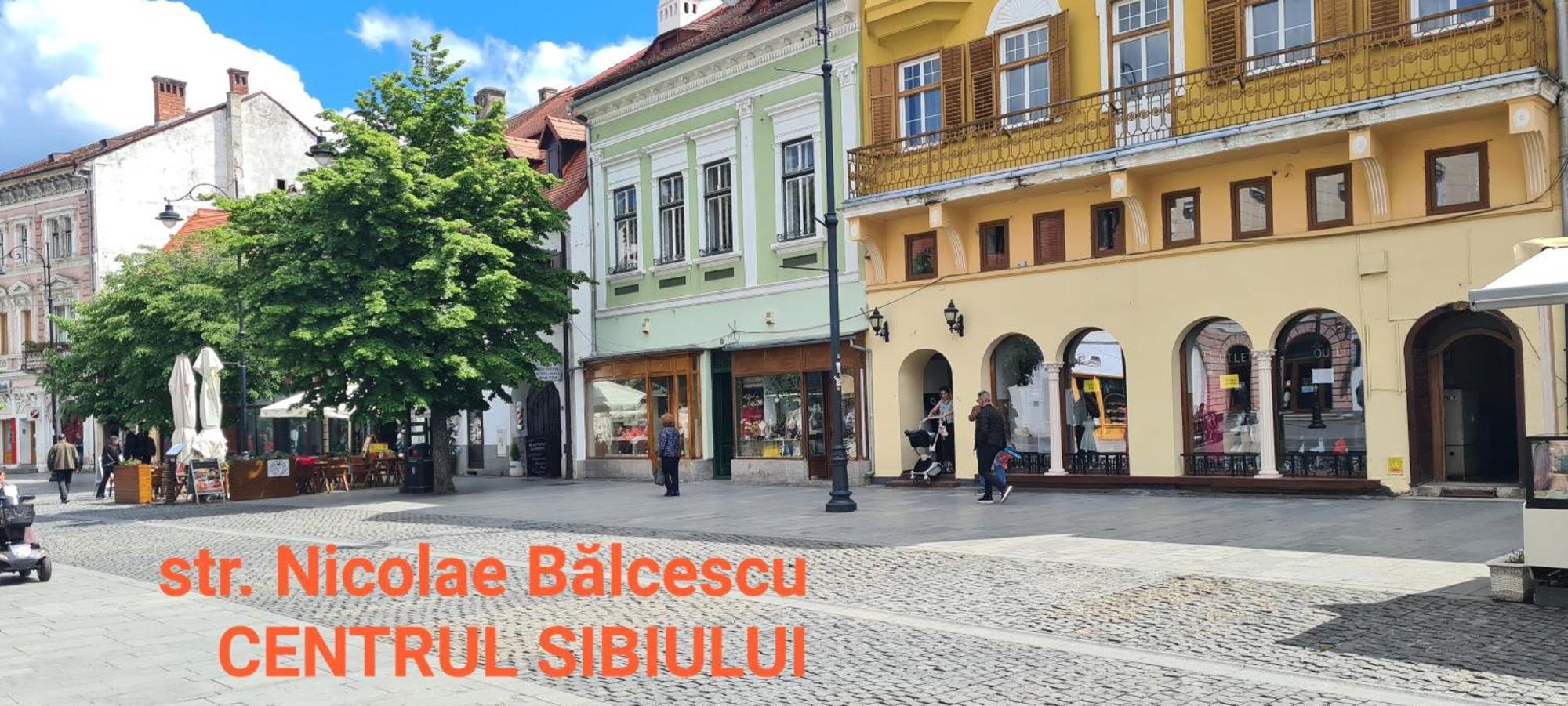 Victorian House Apartamento Sibiu Exterior foto